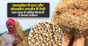 Record purchase of paddy and soybean in Madhya Pradesh, More than 7 lakh farmers registered